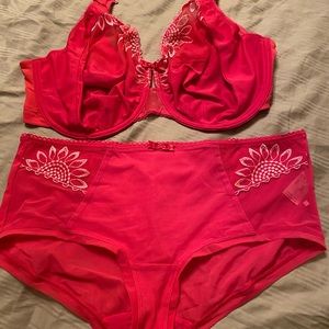 Beautiful Elomi Bra and Panties Set